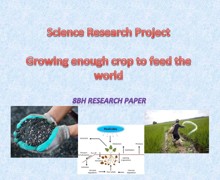 8bh research project