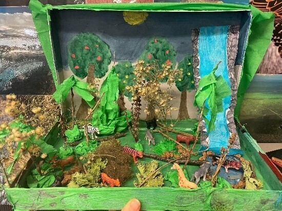 How to Make A Rainforest Biome in a Shoebox 