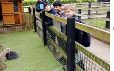 Aldenham Country Park Visit