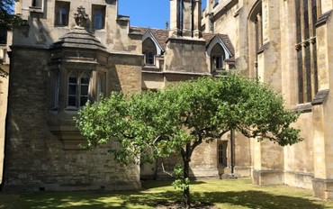 Year 9 P.R.E. Trip to the University of Cambridge, June 2018